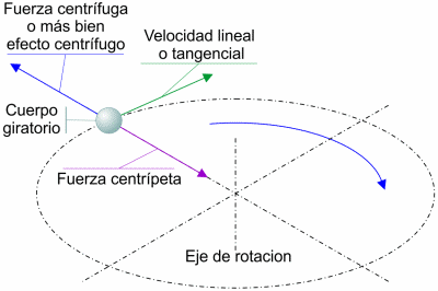 Fuerza centrífuga